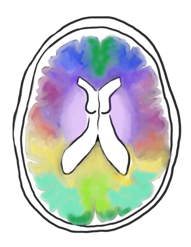 A vertical slice of a brain loosely based on an MRI scan with the middle of the brain a white fgure and around it smudges of rainbow colors. 